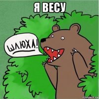 я весу 