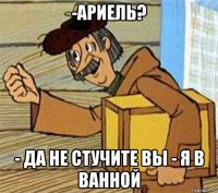 -ариель? - да не стучите вы - я в ванной