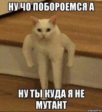 ну чо побороемся а ну ты куда я не мутант