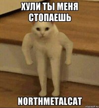 хули ты меня стопаешь northmetalcat