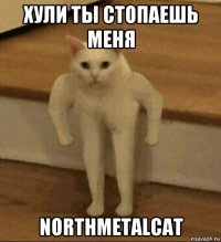 хули ты стопаешь меня northmetalcat