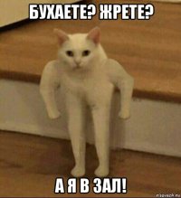 бухаете? жрете? а я в зал!