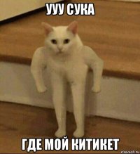 ууу сука где мой китикет