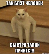 так блэт человек быстро тапки принес!!!