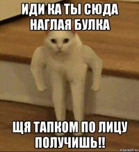 иди ка ты сюда наглая булка щя тапком по лицу получишь!!