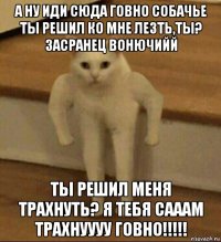 а ну иди сюда говно собачье ты решил ко мне лезть,ты? засранец вонючийй ты решил меня трахнуть? я тебя сааам трахнуууу говно!!!!!