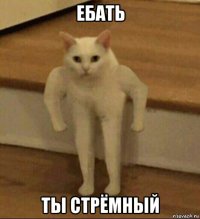 ебать ты стрёмный