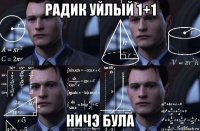 радик уйлый 1+1 ничэ була