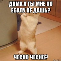 дима а ты мне по ебалу не дашь? чесно чесно?