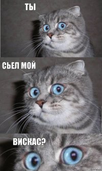 ты сьел мой вискас?