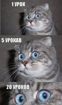 1 урок 5 урокав 20 уроков