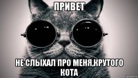 привет не слыхал про меня,крутого кота