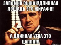 запомни сынок!длинная лошадь это жираф!!! а длинная утка это цапля!!!