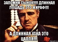 запомни сынок!!!! длинная лошадь это жираф!!! а длинная утка это цапля!!!