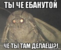 ты че ебанутой че ты там делаеш?!