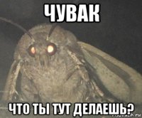 чувак что ты тут делаешь?