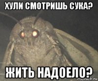 хули смотришь сука? жить надоело?