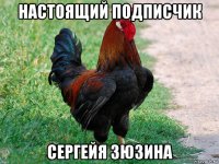 настоящий подписчик сергейя зюзина