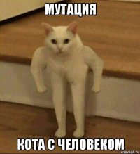 мутация кота с человеком