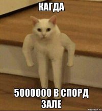 кагда 5000000 в спорд зале