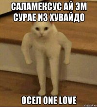 саламексус ай эм сурае из хувайдо осел one love