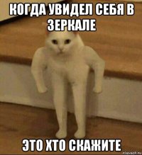 когда увидел себя в зеркале это хто скажите