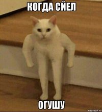 когда сйел огушу