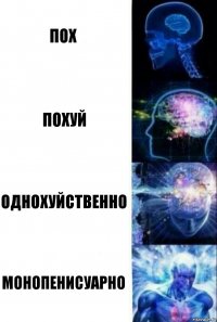 пох похуй однохуйственно монопенисуарно