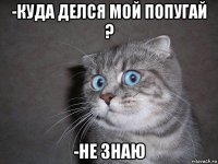 -куда делся мой попугай ? -не знаю