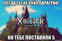 когда ты не учил параграф но тебе поставили 5