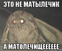 это не матылечик а матолечищееееее