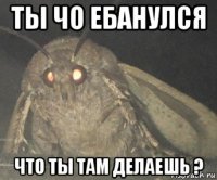 ты чо ебанулся что ты там делаешь ?