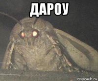 дароу 