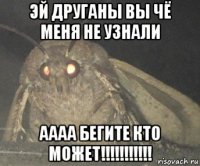 эй друганы вы чё меня не узнали аааа бегите кто может!!!!!!!!!!!