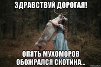 здравствуй дорогая! опять мухоморов обожрался скотина...