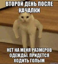 второй день после качалки нет на меня размеров одежды. придется ходить голым