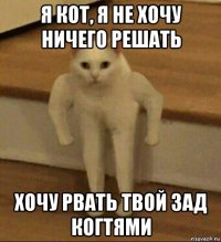 я кот, я не хочу ничего решать хочу рвать твой зад когтями