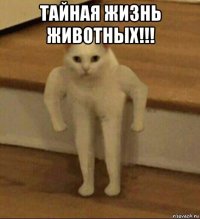 тайная жизнь животных!!! 