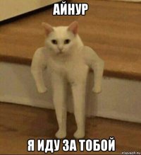 айнур я иду за тобой