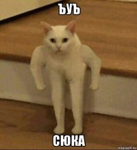 ъуъ сюка