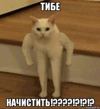 тибе начистить!????!?!?!?