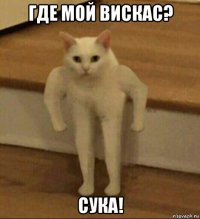 где мой вискас? сука!