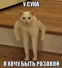 у сука я хочу быть розовой