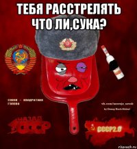 тебя расстрелять что ли,сука? 