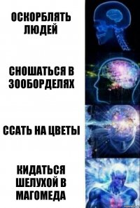 Оскорблять людей Сношаться в зооборделях Ссать на цветы Кидаться шелухой в Магомеда