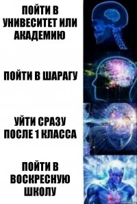 Пойти в Унивеситет или академию Пойти в Шарагу Уйти сразу после 1 класса Пойти в Воскресную школу