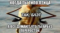 когда ты типо птица а все думают что ты арбуз переросток