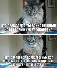 Это правда что ТЫ единственный кот который умеет говорить? Нет говорят но Я ЕДИНСТВЕННЫЙ кот который умеет говорить на одном из языков человечества!!!