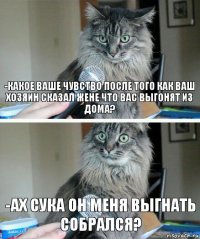 -Какое ваше чувство после того как ваш хозяин сказал жене что вас выгонят из дома? -Ах сука он меня выгнать собрался?