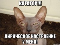 котатор!!! лирическое настроение у меня!